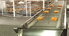 第四步：醒發(fā)——職業(yè)沉淀